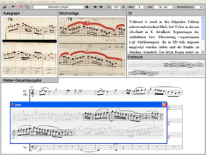 Screenshot der Zoomfunktion
